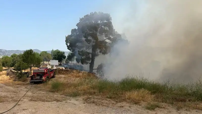 Muğla’da Olayan Orman Yangını: Doğa ve Ekosistem Ne Kadar Etkilenecek?