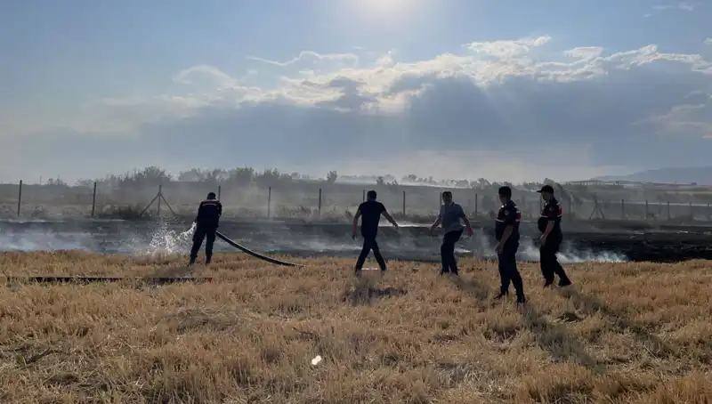Merzifon'da Tarım Arazisi Yangınla Küle Döndü: Üreticiler Zor Durumda