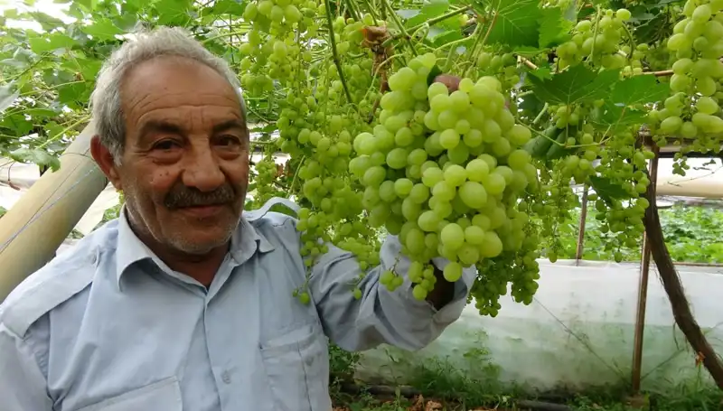 Zirai Don Felaketi, Meyve Fiyatlarını Zirveye Taşıdı: İlk Ürünler 250 TL'yi Geçiyor!