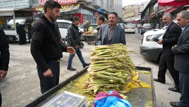 Doğanın Mucizesi: Dağlardan Gelen Şekerin Faydaları ve Kullanım Alanları