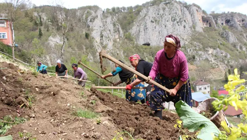 Hayatları için Zorlu Mücadele: Sepetler ve Kazmalarla Çalışmak