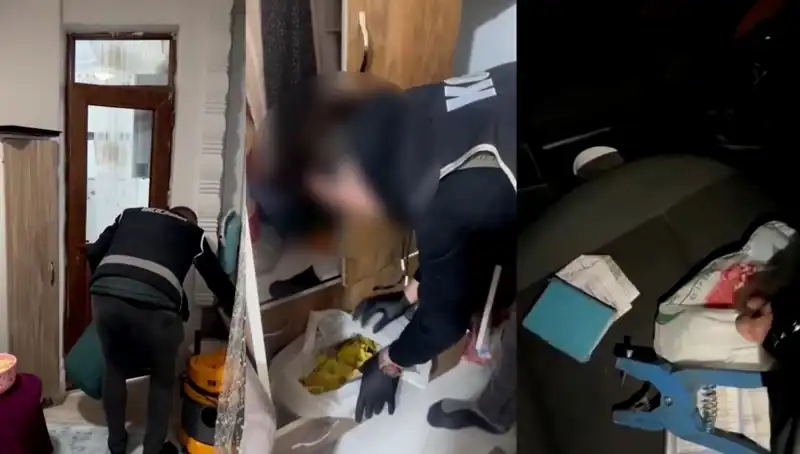 Hayvan Sevk Belgeleri Üzerindeki Usulsüzlükte Büyük Operasyon: Dokuz Kişi Gözaltında