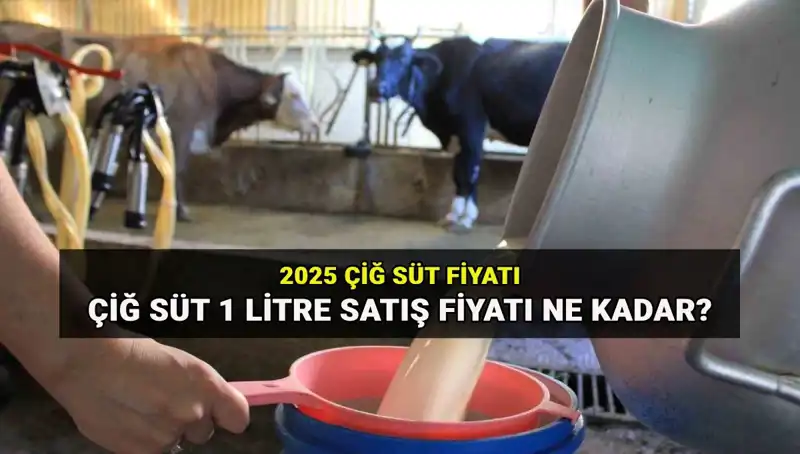 2025'te Çiğ Süt Fiyatları: Ulusal Süt Konseyi'nden Son Veriler Açıklanıyor